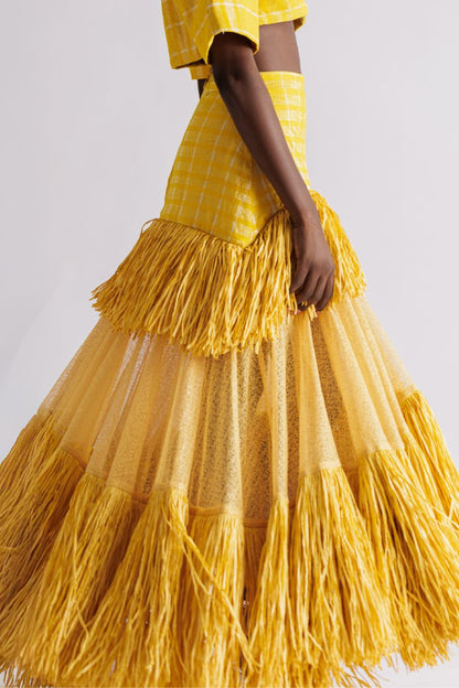 Tulle Tassel Skirt and Cropped Top Two-piece Set